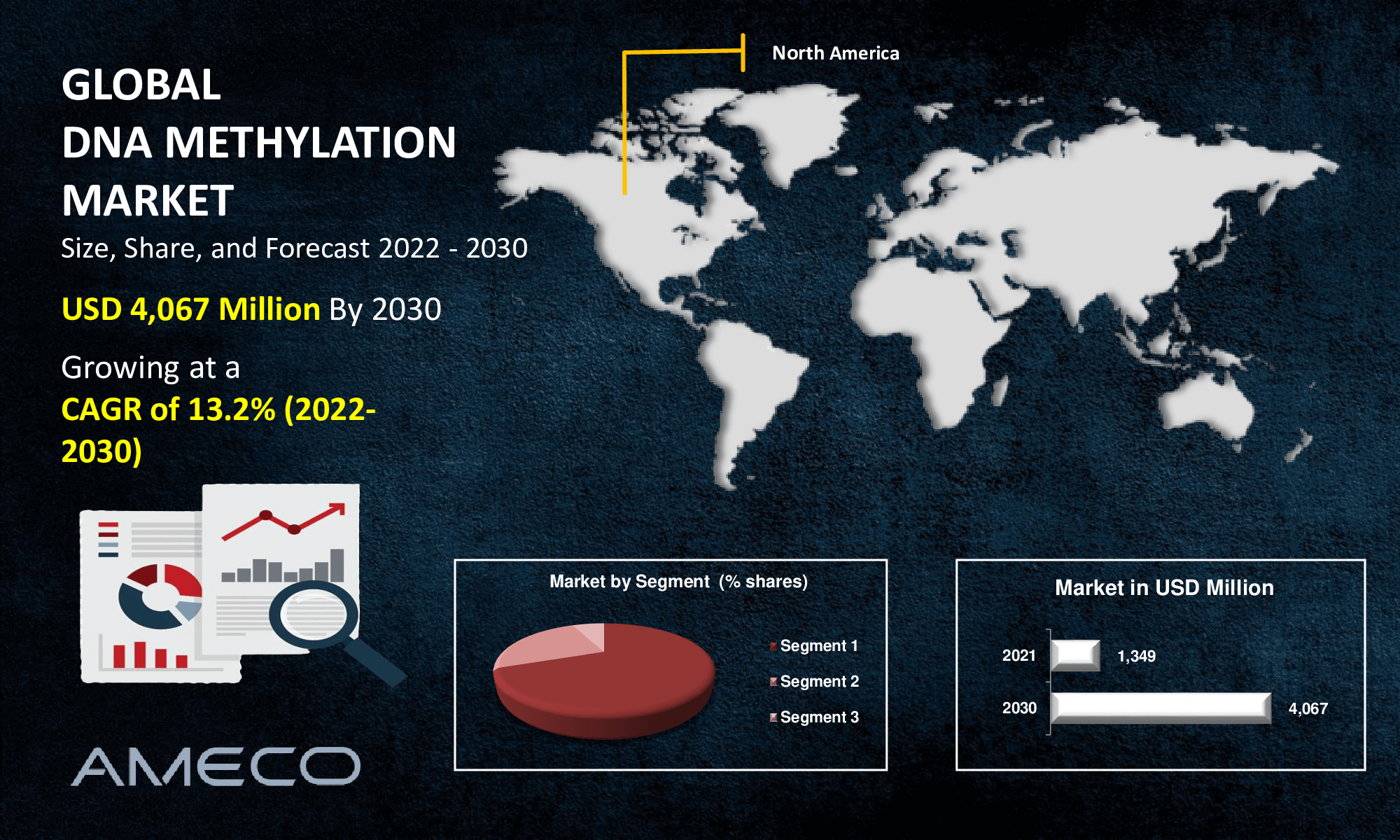 Global DNA Methylation Market Size and Insights Report 2030